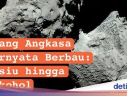 Infografis: Ruang Angkasa Ternyata Berbau Mesiu hingga Alkohol