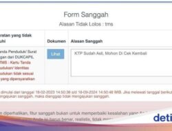 Cara Sanggah CPNS 2024, Beserta Syarat, dan Contoh Menyanggahnya