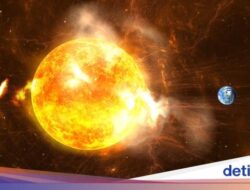 Badai Matahari Bakal Buat Cahaya Ke Bumi Utara Terlihat hingga Hingga 48 Bangsa