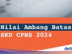 Infografis: Nilai Ambang Batas SKD CPNS 2024