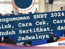 Pengumuman SNBT 2024: 42 Link, Cara Cek hingga Cara Unduh Sertifikat