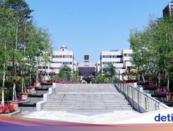 10 Universitas Kecil Terbaik Di Dunia 2024 Versi Times Higher Education