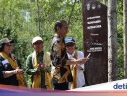 IKN Bakal Punya Hutan Belajar dan Kajian, Almamater Jokowi Karena Itu Pengelola