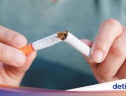 Berhenti Merokok Di Usia Tua Tetap Bisa Memperpanjang Hidup Manusia, Ini Studinya