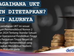 Infografis: Bagaimana UKT Di PTN Ditetapkan? Begini Alurnya!