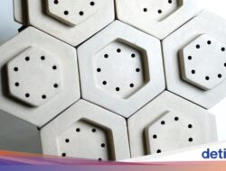 Dosen Undip Sulap Eceng Gondok Karena Itu Bahan Keramik, Mampu Redam Bising