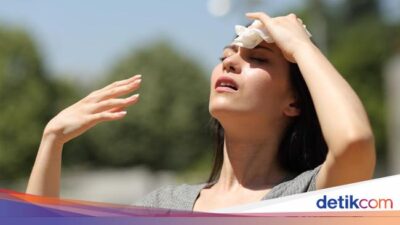 Cuaca Panas Landa Sejumlah Daerah RI, Pakar Sarankan Lakukan 5 Hal Ini