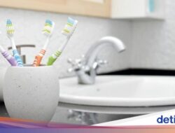 Ada Patogen Jenis Terbaru yang Ditemukan Hingga Sikat Gigi, Ini Kata Ilmuwan