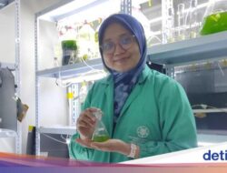 Studi Mahasiswa UGM Ini Raih Dana Hibah Di Jepang, Begini Hasil Penelitiannya