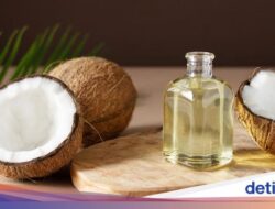 Ternyata Migas Kelapa Bisa Dijadikan Bahan Bakar Pesawat, Bagaimana Caranya?