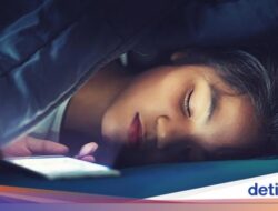 Tidur Ternyata Bisa Membantu Bikin Keputusan Lebih Baik, Ini Studinya