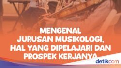 Infografis: Mengenal Jurusan Musikologi dan Prospek Kariernya