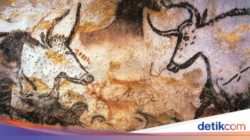 7 Fakta Tentang Lukisan Hingga Gua Lascaux, Ceritakan Keadaan Prasejarah