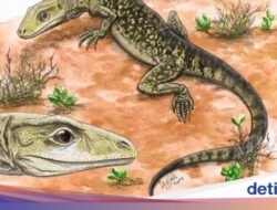 Penemuan Fosil Kadal Tertua Berusia 205 Juta Tahun, Ditemukan Di Kota Ini