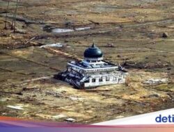 Catatan Dua Dekade Gelombang Laut Tinggi Aceh, Bagaimana Belajar Dipulihkan Ke Serambi Makkah?