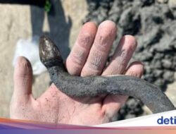 Ada Harta Karun Ular Perunggu Ke Situs Pemandian, Diyakini Peninggalan Bangsa Ini