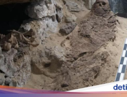 Potret Tulang Belulang Di Pemakaman Era Mesir Kuno Ditemukan Di Saqqara