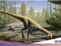 Dinosaurus Seukuran Ayam Ini Ungkap Fakta Mutakhir, Ubah Sejarah yang Ada