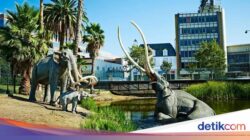 Mengenal La Brea Tar Pits, Kolam Lumpur Ke Ditengah Kota LA yang Penuh Didalam Fosil