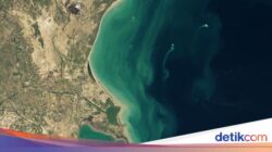 NASA Temukan Pulau Hantu Hingga Azerbaijan, Tiba-tiba Muncul dan Menghilang