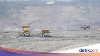 Pakar Ingatkan Dampak Izin Tambang Untuk Kampus: Rawan Konflik Kepentingan