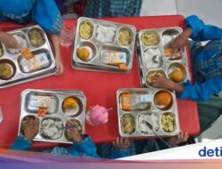 Ketua BRIN Beberkan Peran BRIN Untuk Makan Bergizi Gratis, Seperti Apa?