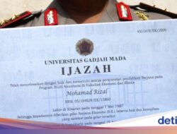 Situs PDDikti Sebagai Cek Keaslian Ijazah Perguruan Tinggi Online