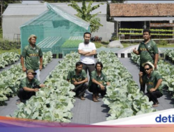 Anak Buruh Tani Ini Kuliah Hingga Inggris Di Beasiswa LPDP, Kini Karena Itu Bos Sayur