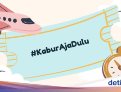 Viral #KaburAjaDulu, Kemendiktisaintek Pesan Begini