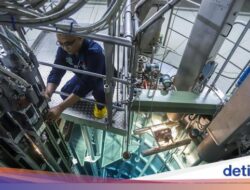 Aman! Dana Kajian BRIN Tak Dipotong