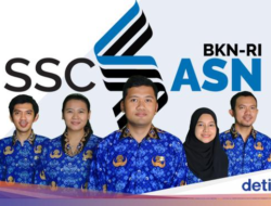 Masa Sanggah Hasil PPPK 2024 Tahap 2 Dimulai Hari Ini, Begini Tahapannya