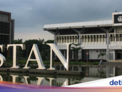 Pendaftaran PKN STAN 2025 Segera Dibuka, Ini Jenjang Pembelajaran yang Bisa Ikut Seleksi