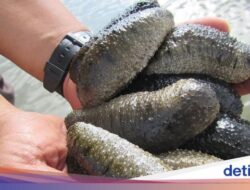 6 Hewan Ini Dinamai Di Unsur Konsumsi, Mana yang Paling Unik?