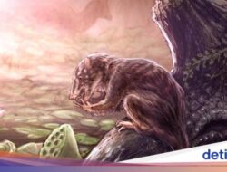 Ternyata Warna Bulu Semua Mamalia Awalnya Sama, Ini Kata Studi