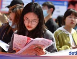 Ini 3 Soft Skills yang Wajib Dimiliki Fresh Graduates Menurut LinkedIn, Apa Saja?