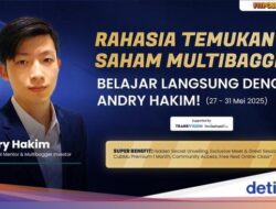 Kupas Tuntas Saham Multibagger Ala Investor Top Indonesia Andry Hakim
