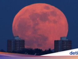 Trend Populer Alam yang Cuma Terjadi Sekali Untuk 100 Tahun