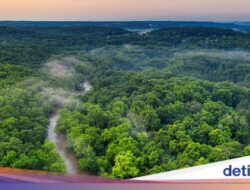 5 Fakta Hutan Amazon yang Ramai Diberi Rating Bintang 1 Didalam Netizen RI