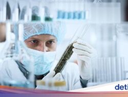 10 Jurusan yang Banyak Kemungkinan Kerjanya, Ilmu Gizi hingga Cara Sipil