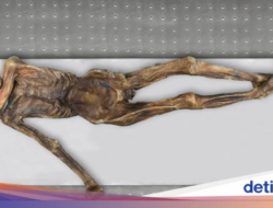 5 Penemuan Arkeologi yang Ditemukan Di Orang Biasa dan Seekor Luwak, Cek!