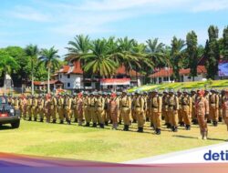 Langsung Bersama Sebab Itu CPNS, Bagaimana Penempatan Lulusan IPDN?