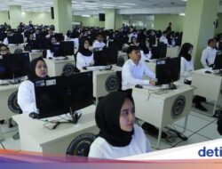 Viral Ide Tes CPNS Tak Serentak, BKN: Tetap Pakai Warna, Transparan