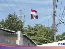 Pasang Bendera One Piece Sah Secara Hukum, Tak Perlu Berlebihan