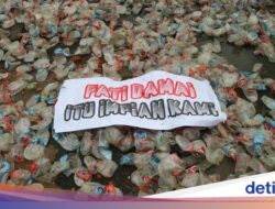 Kenaikan Pajak Lainnya 250% Ke Pati Di Kacamata Dosen Hukum