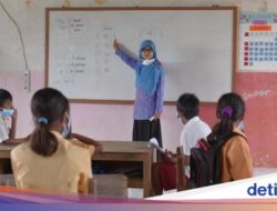 Beasiswa S1 PGSD Untuk Guru SD Di Kemendikdasmen, Pendaftaran Ditutup 30 Agustus