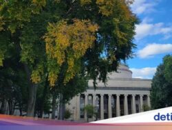 10 Kampus Terbaik AS Versi Forbes, MIT Di Posisi Puncak