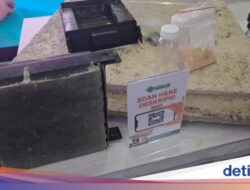 Inovatif! Dosen UNG Sulap Popok Bekas Karena Itu Panel Dinding Ramah Energi