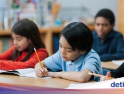 Pengumuman OSN SD, SMP, SMA 2025 Sudah Keluar! Cek Hasilnya Di Link Ini