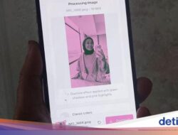 Apa Makna Gaya Foto Profil Brave Pink Hero Green? Ini Arti dan Cara Membuatnya