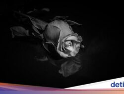 Kronologi Meninggalnya Athaya Anggota PPI Belanda Di Kunker Pejabat